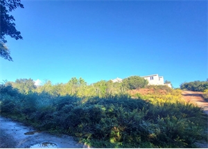 terrain à la vente -   20230  POGGIO MEZZANA, surface 892 m2 vente terrain - UBI445245329